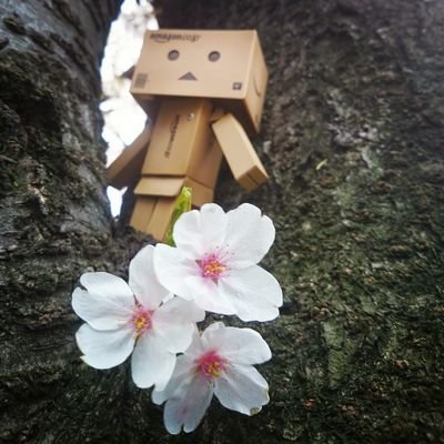 つぶやきません