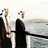 Profile Picture of فاطمه آل مشعل . (@@Taiim8) on Twitter