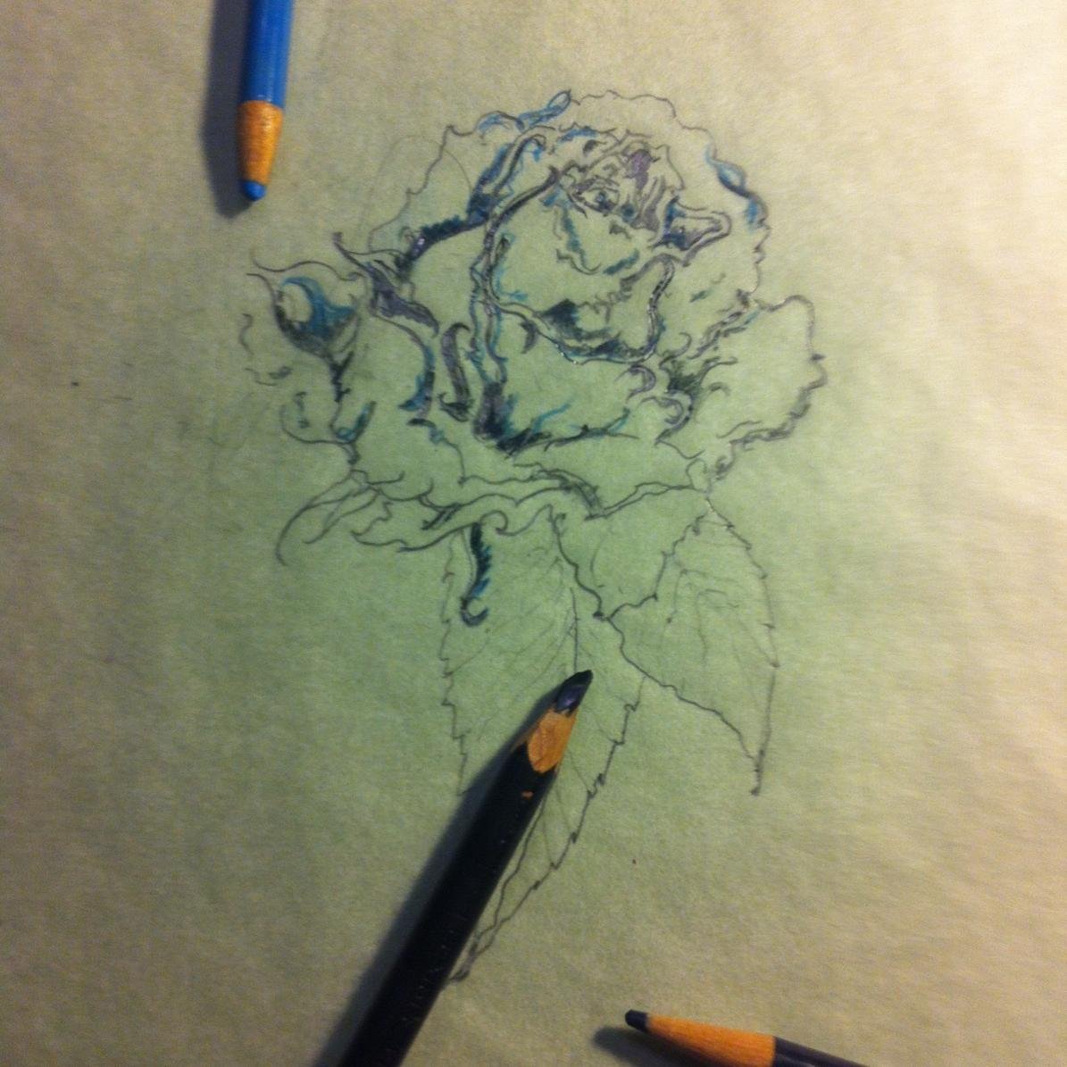 OPTdotORG's profile picture. Loving and Empowering the victims of domestic violence