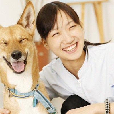 動物看護師としての日々