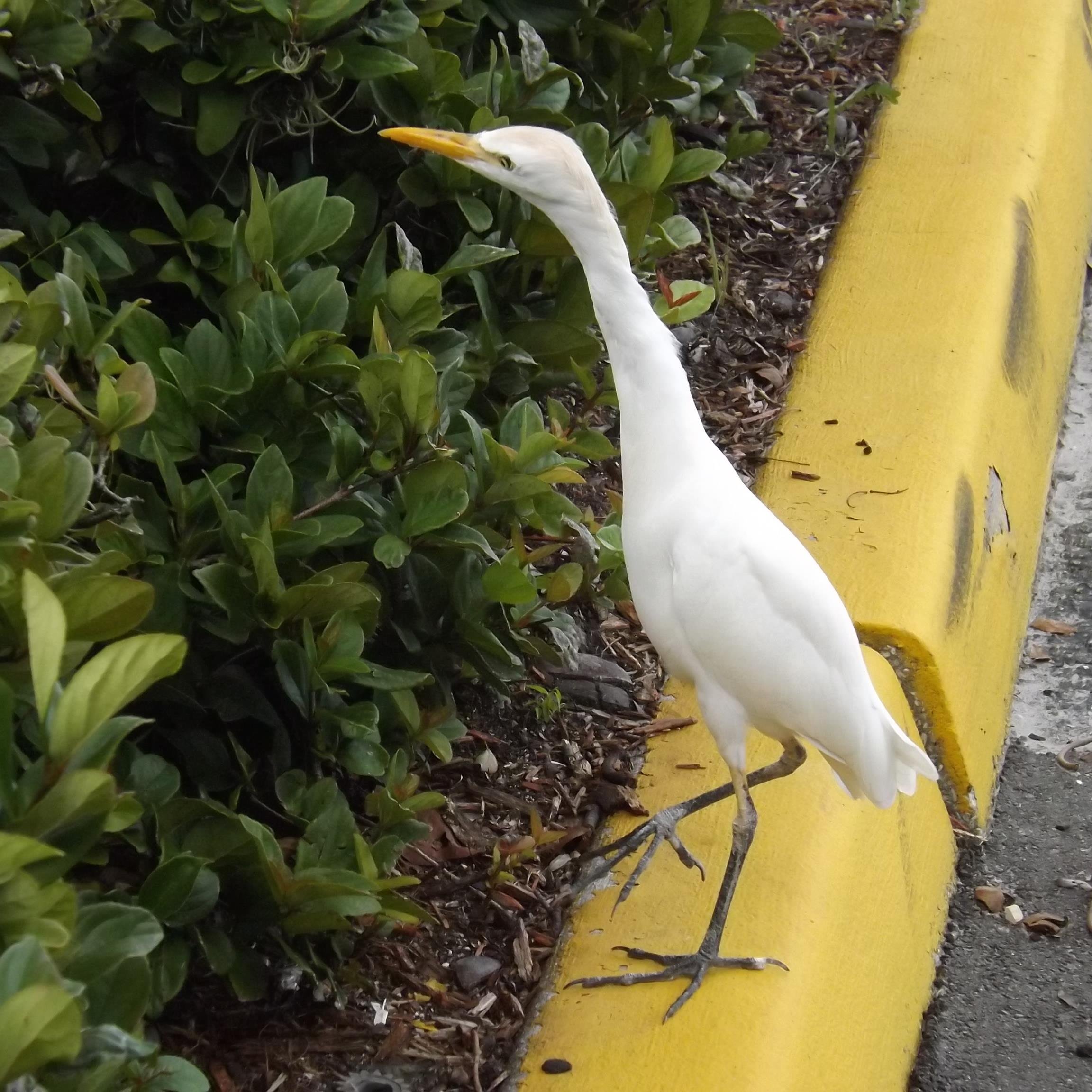 347peg1's profile picture. 