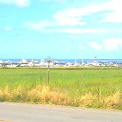 沖縄県 石垣島 在住、60代、男。無党無教派。元PCエンジニア&派遣社員。現役時代は東京を中心とす関東方面に住んでいたが60歳でUターン。現在は町中から離れた粗大廃品置き場(捨て場?)に1人住む下流老人。電気・ガス・水道なし。微力ながら反自公を応援。
#福岡正信、#格差是正、#サンダース、#反自公政権