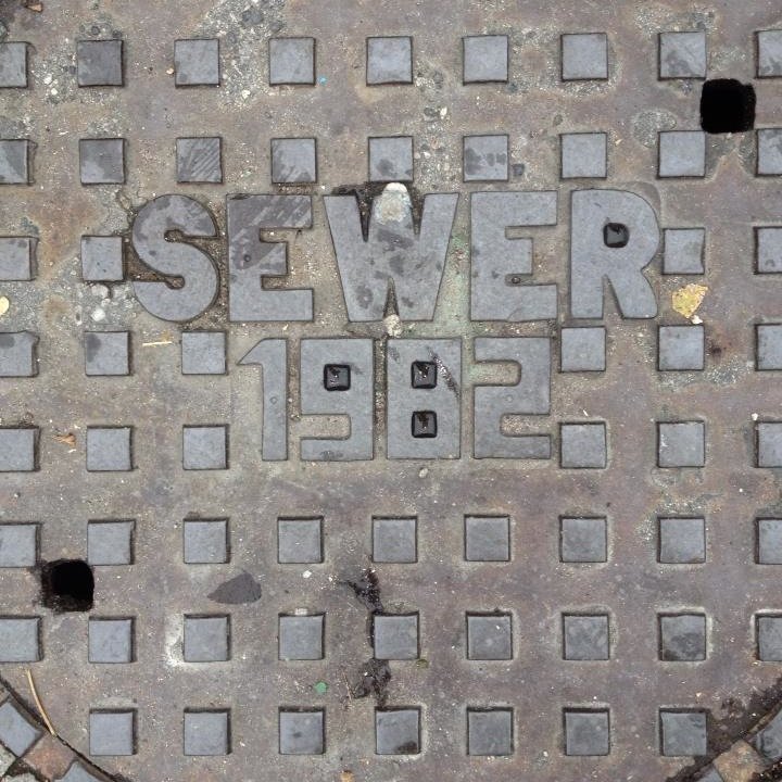 stormwater, plants, climate change, smallprojects, public realm, politics