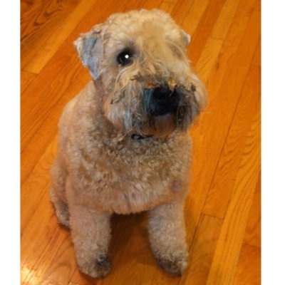 Dusky412's profile image