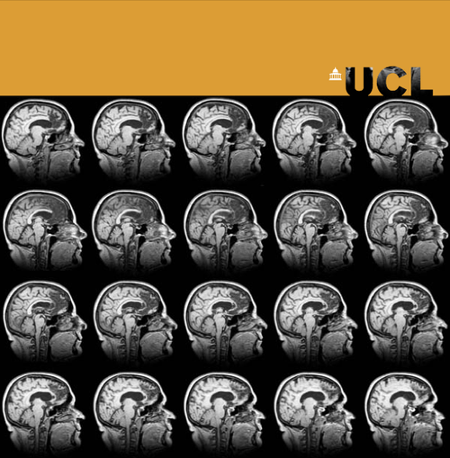 UCL Institute of Cognitive Neuroscience. Follow us for updates on publications, seminars and public engagement activities within this research department.