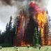 wildfirenews (@wildfirenews) Twitter profile photo wildfirenews (@wildfirenews) Twitter profile photo