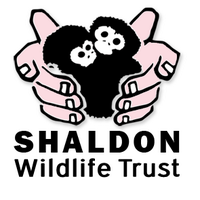 ShaldonWildlifeTrust(@ShaldonZoo) 's Twitter Profileg