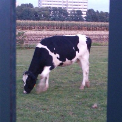 moo(ﾑｰ) 🛸https://t.co/J0X30pae0X