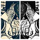 kelvin_doyle_chika - @DzekoChika - Twitter