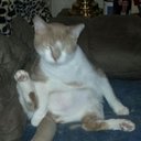 Walt Garrison - @walt9977 - Twitter