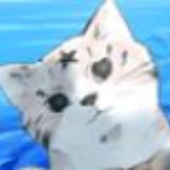 粉みかんさんのプロフィール画像