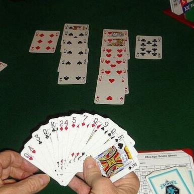 LBCBridge's profile picture. Gezellige club om goed te bridgen; Niet voor beginners, wel om steeds beter te worden