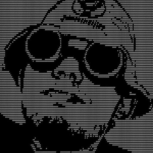 DL6II's profile picture. Ham Radio + IT + Real Life