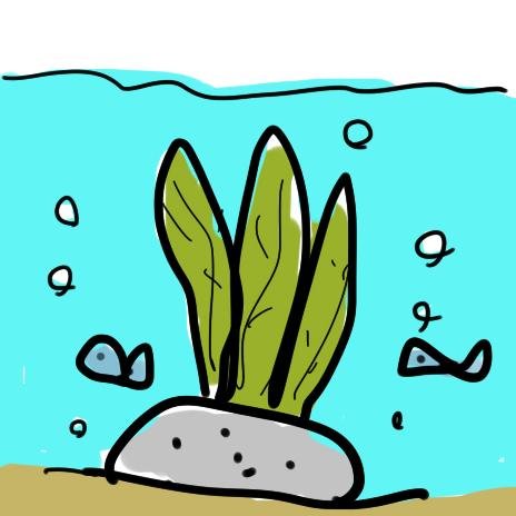 海草さんのプロフィール画像