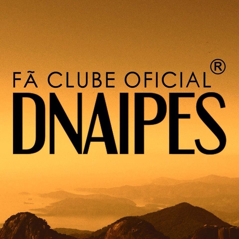 • Fã Clube Oficial da banda Dnaipes ®