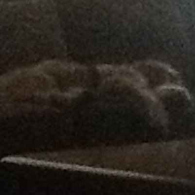 rmlsmom's profile picture. I like to skype my name is robloxgameingmatser