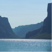 Christine Anderson (@andersondc2) 's Twitter Profile