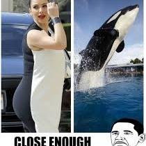 Free Willy