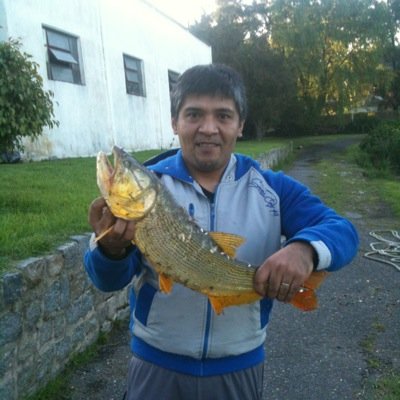 27Davidguaymas's profile picture. 