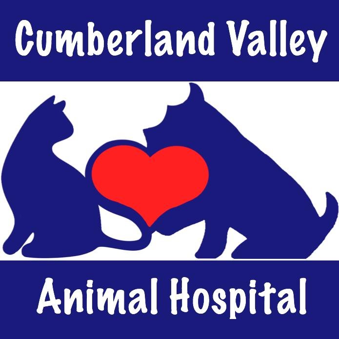 Small Animal Vet with ultrasound and digital radiology. Vet of Smokey the Lap Potato, Hobbs the Marble-Eater, Wolfe the Biker Dog, and Other Neat Pets.