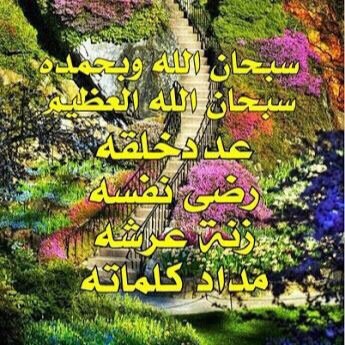 - يا الله، ربّ الحب والدهشة والأمنيات أدعوك أن تبلغنا تمام الأشياء لا أنصافها.