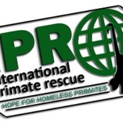 Int Primate Rescue