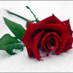 Mahmiller56MAH's profile picture. 