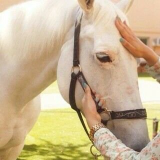 ‏الامارات العربيه المتحده