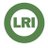 LRIFire's profile image
