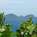 Almost Paradise Cottage Retreat (@almostparadiseg) Twitter profile photo
