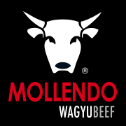 Agrícola Mollendo S.A. es una empresa Chilena fundada en el año 2002.