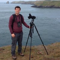 Matt Collis (@mattcollis9) 's Twitter Profile