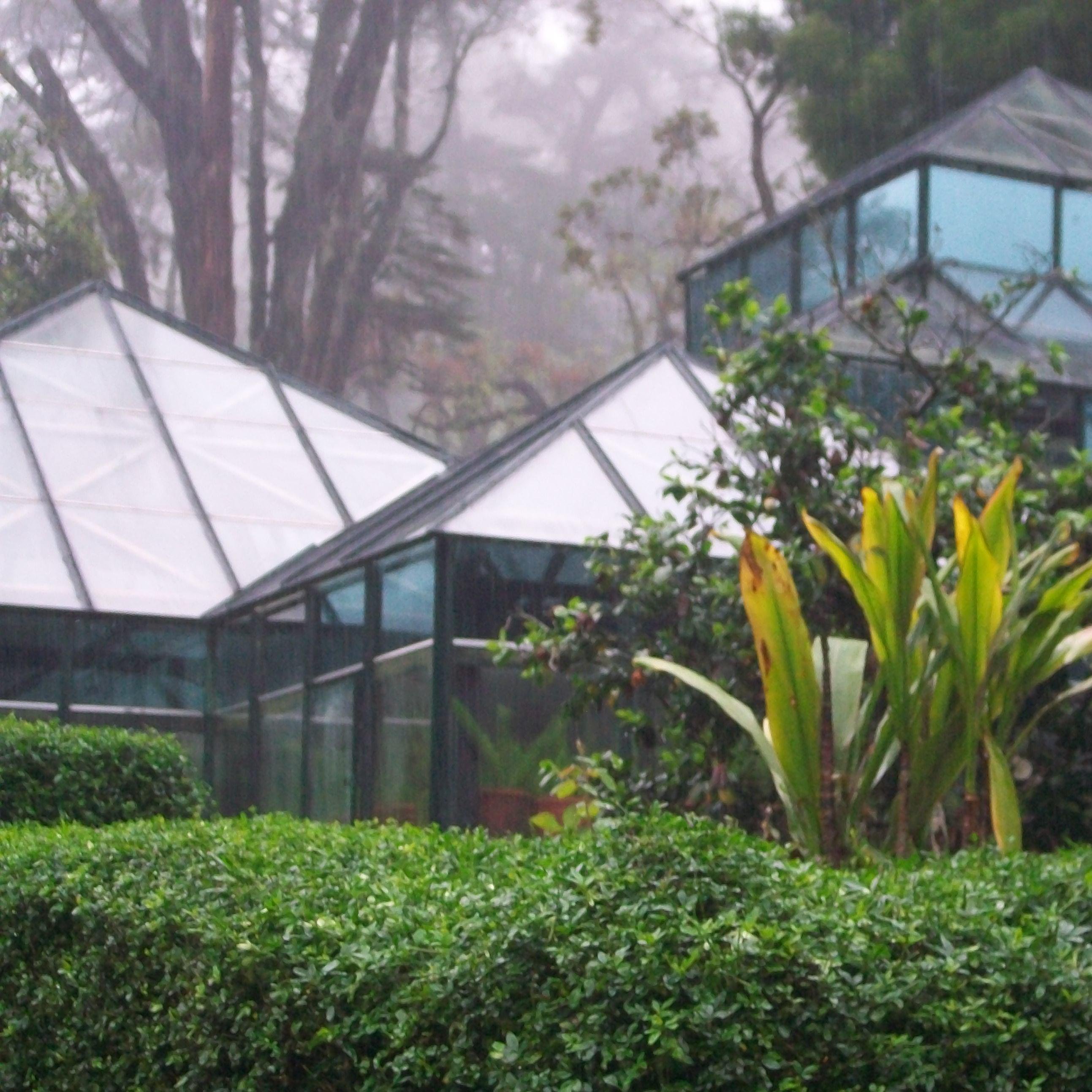 cutflowerexport's profile picture. A green revolution EXIM firm founded in 2009, with the Eco-friendly mission to contribute to the environment.