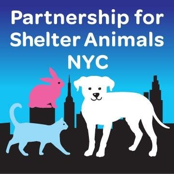 Working together to improve the lives of NYC's shelter animals by donating needed supplies, promoting adoptions, and increasing fosters and volunteers. 501(3)c