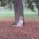 Brandon Sharpe - @brandonsharpe19 - Twitter