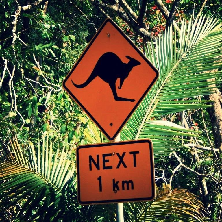 Despues de una luna de miel en Australia, te contamos todo lo que quieres saber sobre este fantástico destino!