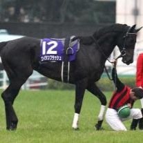 potepote_ayu's profile picture. ぷー