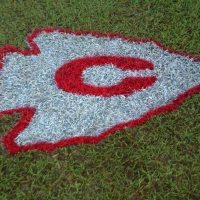 Ladyarrowxc Profile Picture