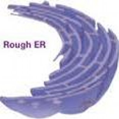 Endoplasmic reticulum without labels