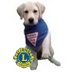 leaderdoglogan's profile picture. This is about a Leader Dog for the Blind and his partner.  Independence, fun, service through Lions Clubs.