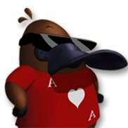 A Ace Studios é uma empresa nacional especializada na criação de jogos analógicos. E também gostamos muito de ornitorrincos.