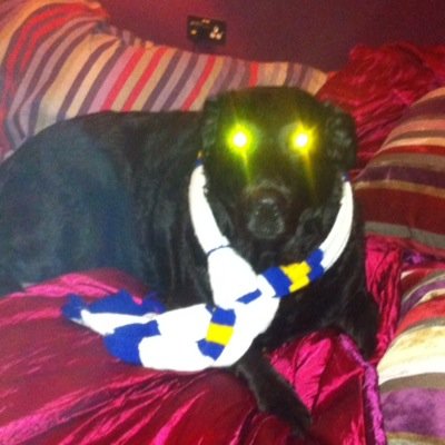 Love Leeds hate Man u nuff said