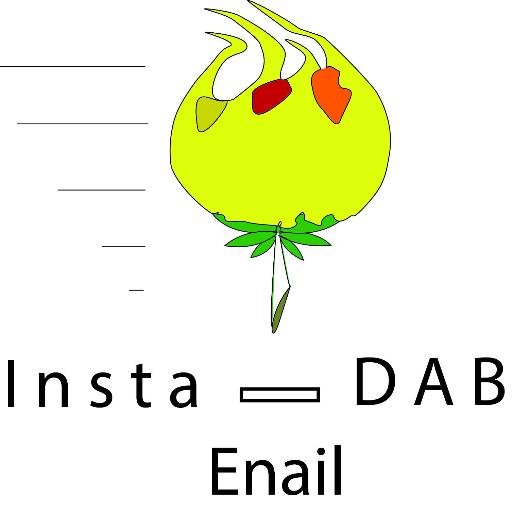 Locally produced in Madison Wisconsin, the InstaDab Enail is made by engineers who know how to make stuff like they used to (anymore).