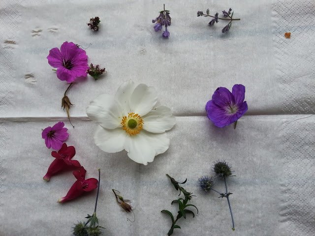 AffinityGo's profile picture. Researcher in Service Marketing