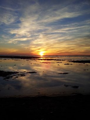 Pimpelenko's profile picture. 