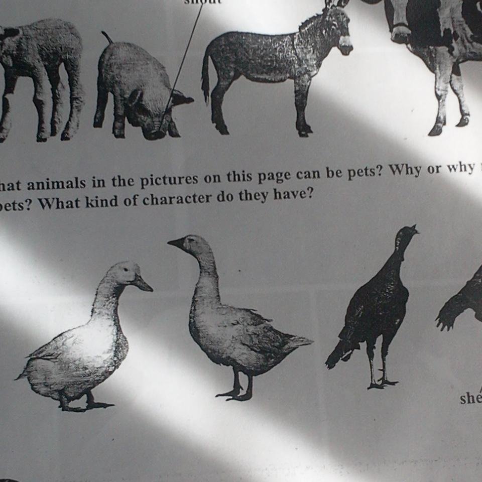 0H0E1hem9fkFzuC's profile picture. 