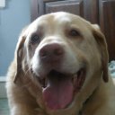 Amelia Law - @amelia__Law - Twitter