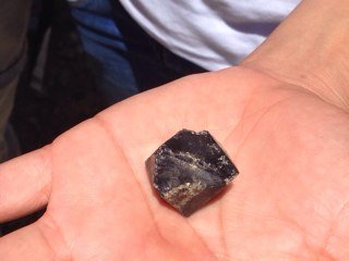 terelagu's profile picture. 