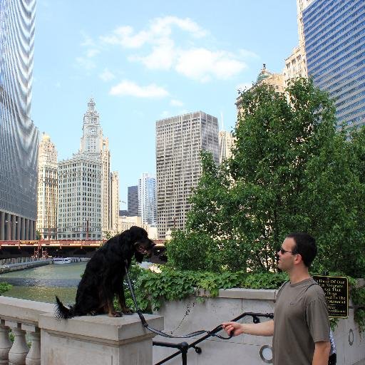 AdamFluck's profile picture. 