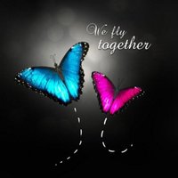 Suhail (@the_etoile) 's Twitter Profile